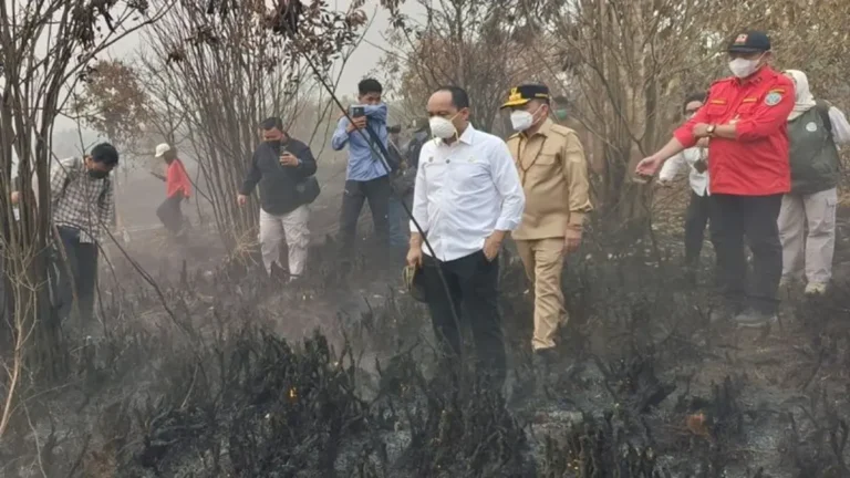 Sekda Sintang tunjuk hidung Menhut Raja Juli soal karhutla, Kemenhut: Semua pihak harus bahu-membahu