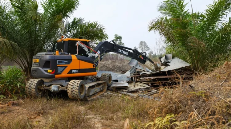 OIKN Tertibkan Kebun Sawit Ilegal di Bukit Tengkorak, Pulihkan Fungsi Konservasi Tahura Bukit Soeharto